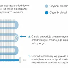 Parownik lodówki: zasada działania i najczęstsze problemy eksploatacyjne